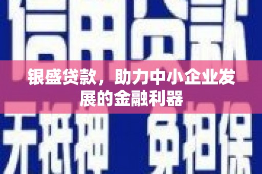 门源银盛贷款，助力中小企业发展的金融利器