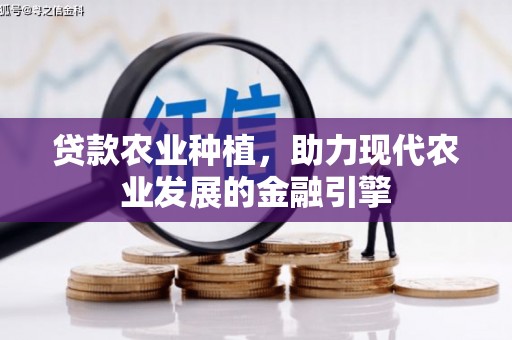 门源贷款农业种植，助力现代农业发展的金融引擎