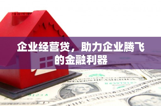 门源企业经营贷，助力企业腾飞的金融利器