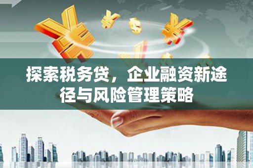 门源探索税务贷，企业融资新途径与风险管理策略