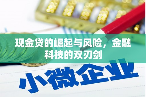 门源现金贷的崛起与风险，金融科技的双刃剑