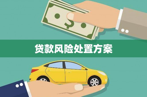 门源贷款风险处置方案