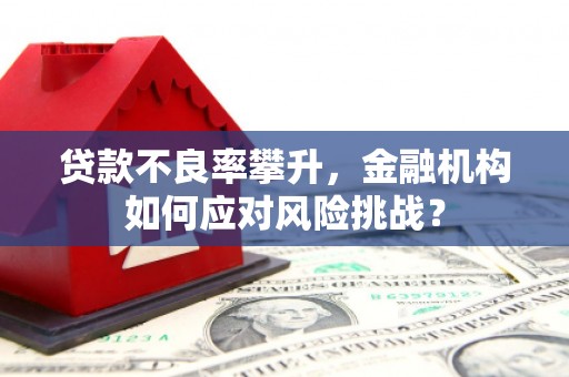 门源贷款不良率攀升，金融机构如何应对风险挑战？