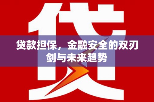门源贷款担保，金融安全的双刃剑与未来趋势