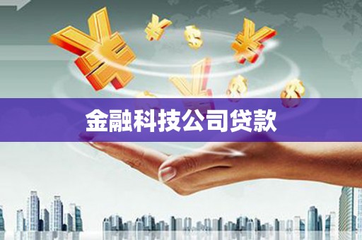 门源金融科技公司贷款