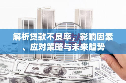 门源解析贷款不良率，影响因素、应对策略与未来趋势