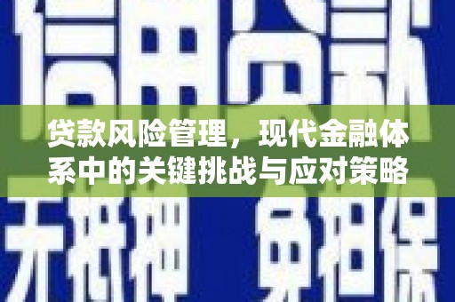 门源贷款风险管理，现代金融体系中的关键挑战与应对策略