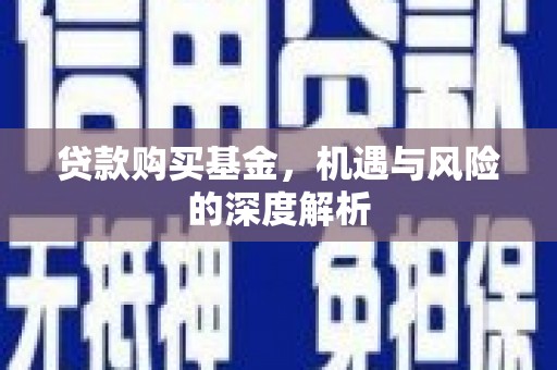 门源贷款购买基金，机遇与风险的深度解析