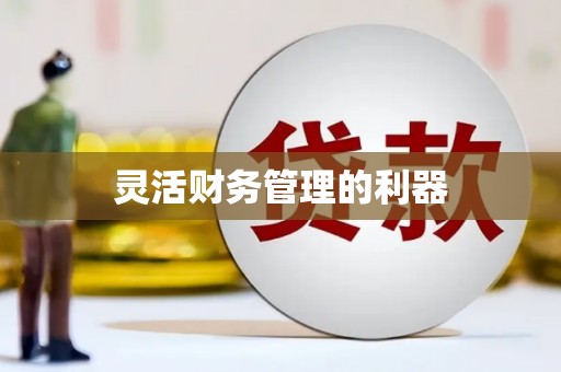门源灵活财务管理的利器