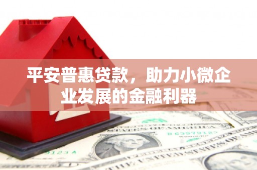 门源平安普惠贷款，助力小微企业发展的金融利器