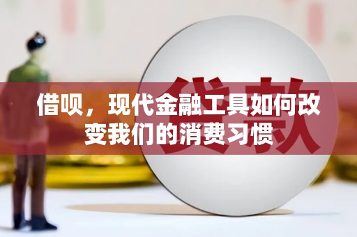 门源借呗，现代金融工具如何改变我们的消费习惯