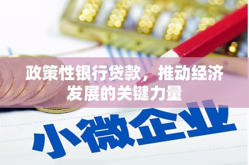 门源政策性银行贷款，推动经济发展的关键力量