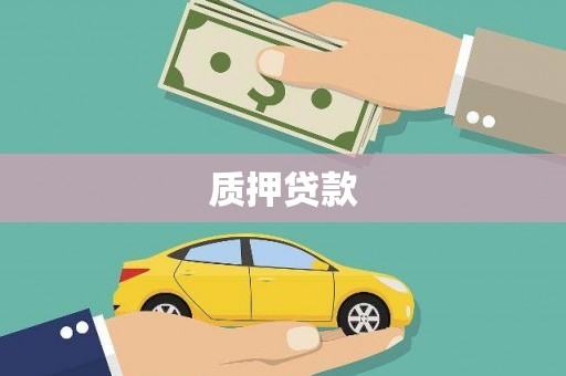 门源质押贷款