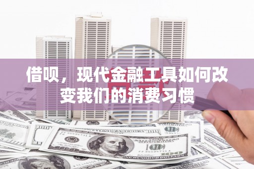 门源借呗，现代金融工具如何改变我们的消费习惯