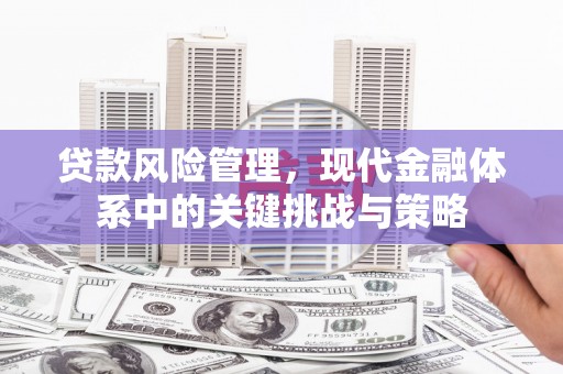 门源贷款风险管理，现代金融体系中的关键挑战与策略