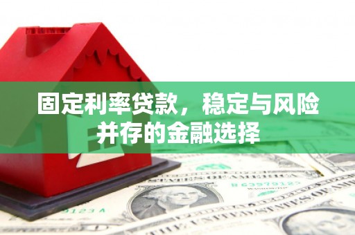 门源固定利率贷款，稳定与风险并存的金融选择