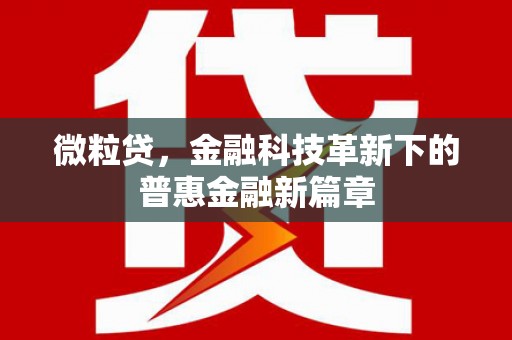 门源微粒贷，金融科技革新下的普惠金融新篇章