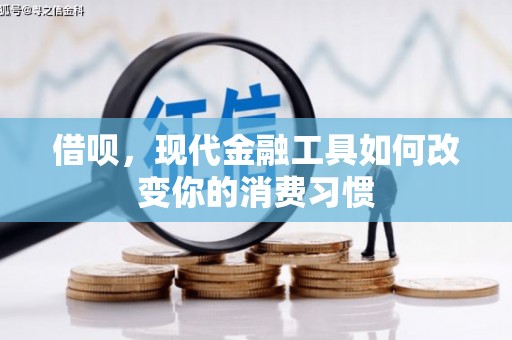 门源借呗，现代金融工具如何改变你的消费习惯