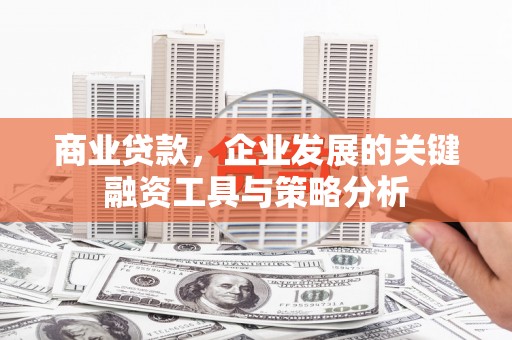 门源商业贷款，企业发展的关键融资工具与策略分析