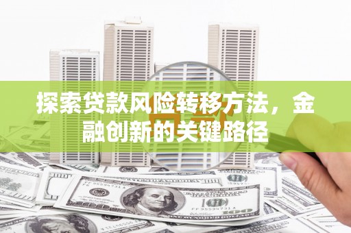 门源探索贷款风险转移方法，金融创新的关键路径