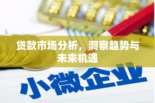 门源贷款市场分析，洞察趋势与未来机遇