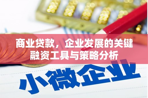 门源商业贷款，企业发展的关键融资工具与策略分析