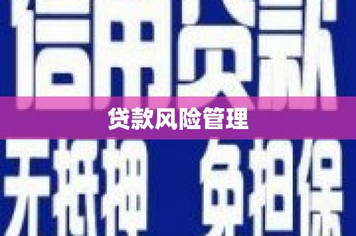 门源贷款风险管理