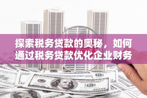 门源探索税务贷款的奥秘，如何通过税务贷款优化企业财务
