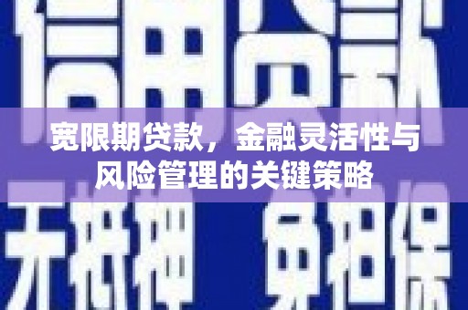 门源宽限期贷款，金融灵活性与风险管理的关键策略