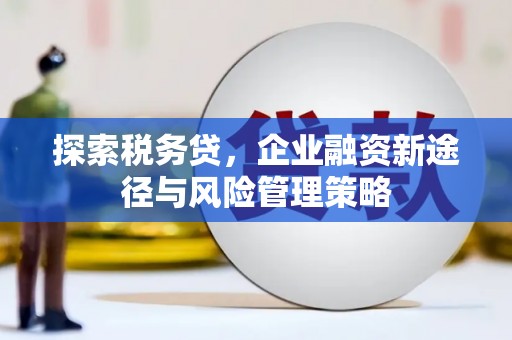 门源探索税务贷，企业融资新途径与风险管理策略