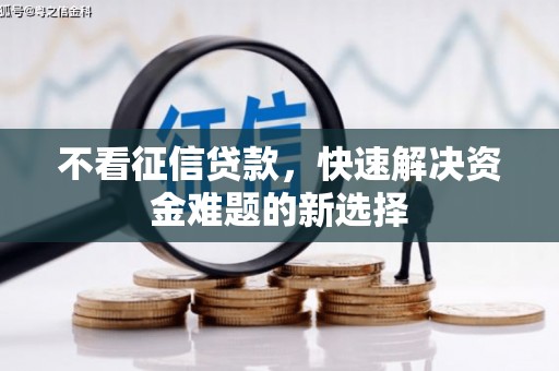 门源不看征信贷款，快速解决资金难题的新选择