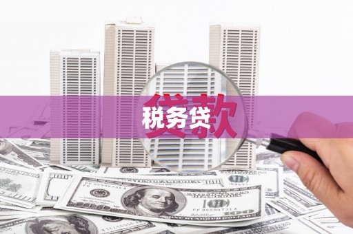 门源税务贷