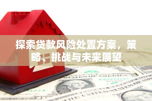 门源探索贷款风险处置方案，策略、挑战与未来展望