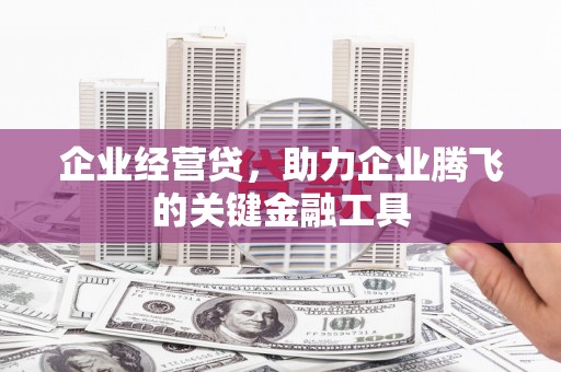 门源企业经营贷，助力企业腾飞的关键金融工具