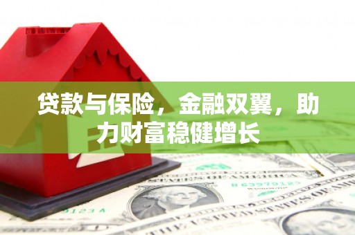 门源贷款与保险，金融双翼，助力财富稳健增长