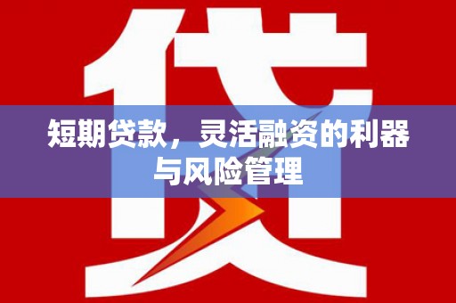门源短期贷款，灵活融资的利器与风险管理