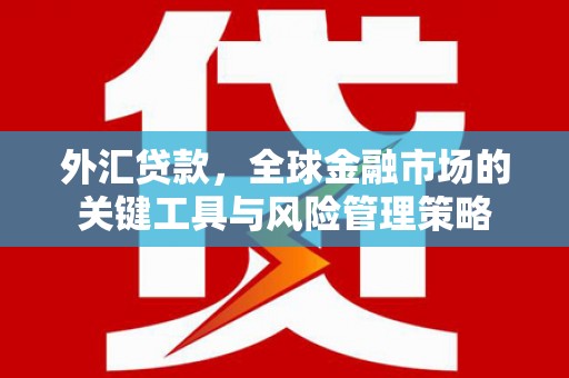 门源外汇贷款，全球金融市场的关键工具与风险管理策略