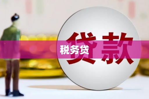 门源税务贷