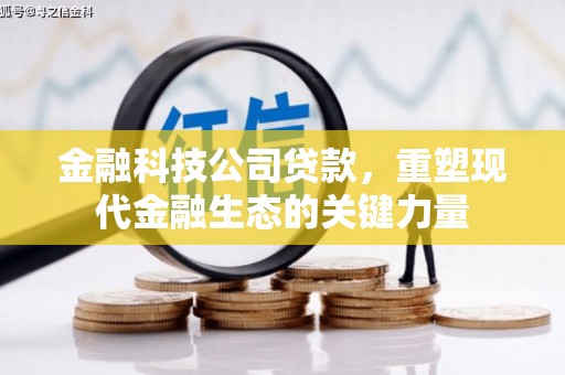 门源金融科技公司贷款，重塑现代金融生态的关键力量