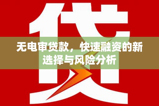 门源无电审贷款，快速融资的新选择与风险分析