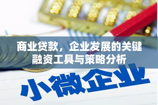 门源商业贷款，企业发展的关键融资工具与策略分析