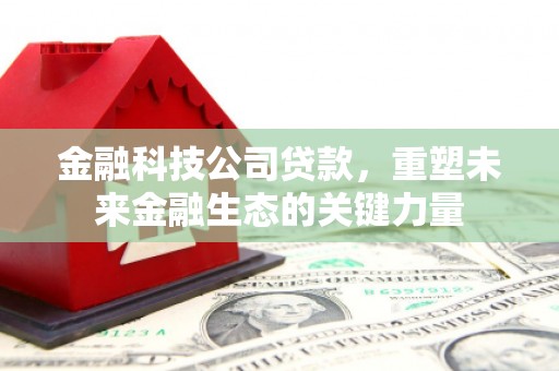门源金融科技公司贷款，重塑未来金融生态的关键力量