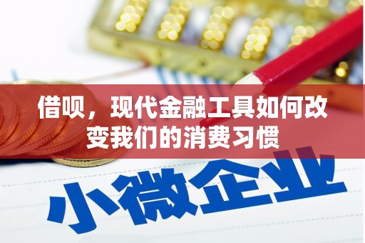门源借呗，现代金融工具如何改变我们的消费习惯