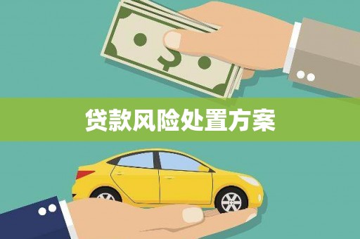 门源贷款风险处置方案