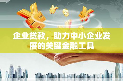 门源企业贷款，助力中小企业发展的关键金融工具