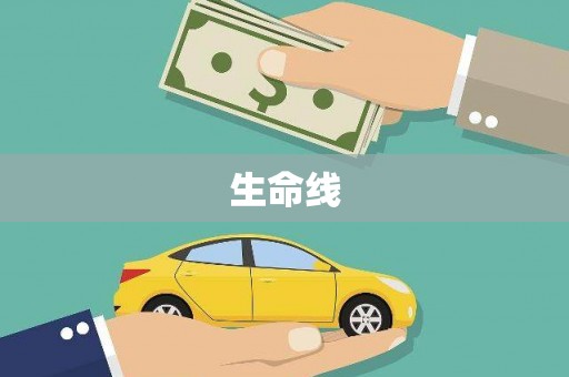 门源生命线