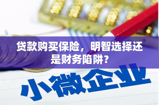 门源贷款购买保险，明智选择还是财务陷阱？