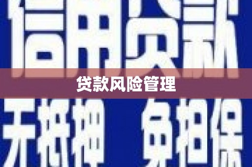 门源贷款风险管理
