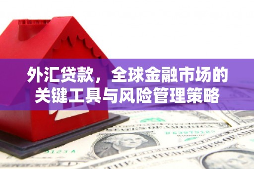 门源外汇贷款，全球金融市场的关键工具与风险管理策略