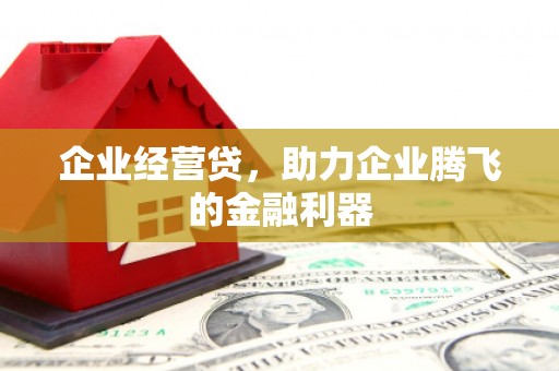 门源企业经营贷，助力企业腾飞的金融利器